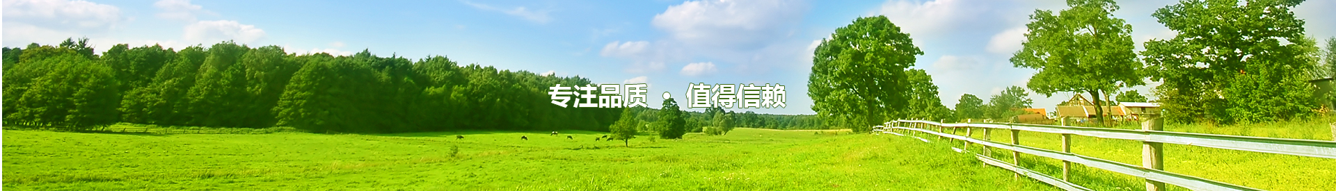 新聞資訊banner